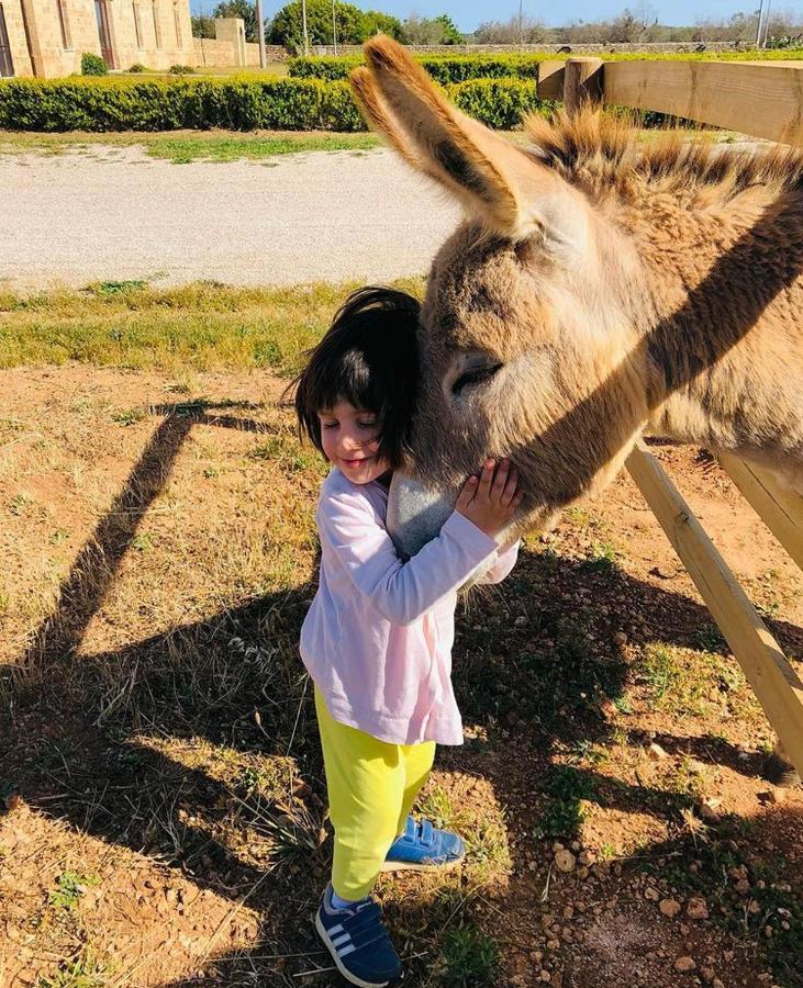 Masseria Galatea Agriturismo Alessano Eksteriør bilde